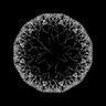 Colorpong – Dataism